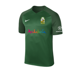 Camiseta-Nike-Selección-Andaluza-verde-rfaf-venta-tiendarfaf